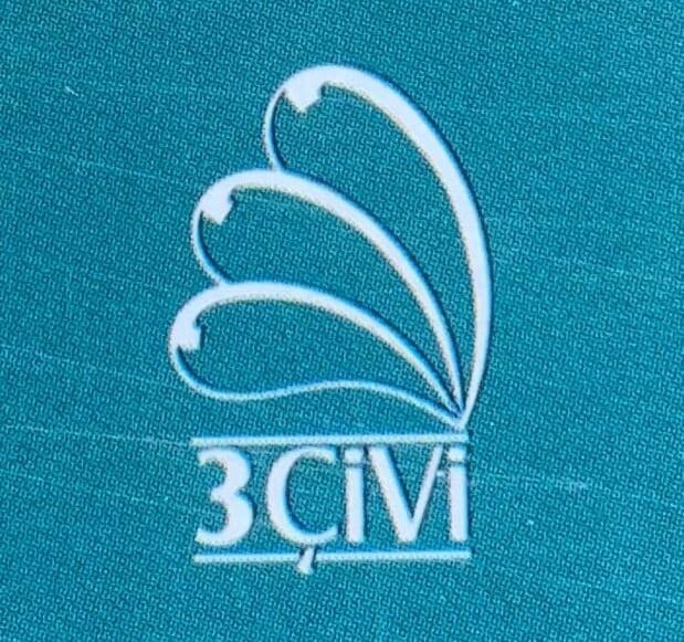 3Çivi