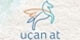 Uçan At