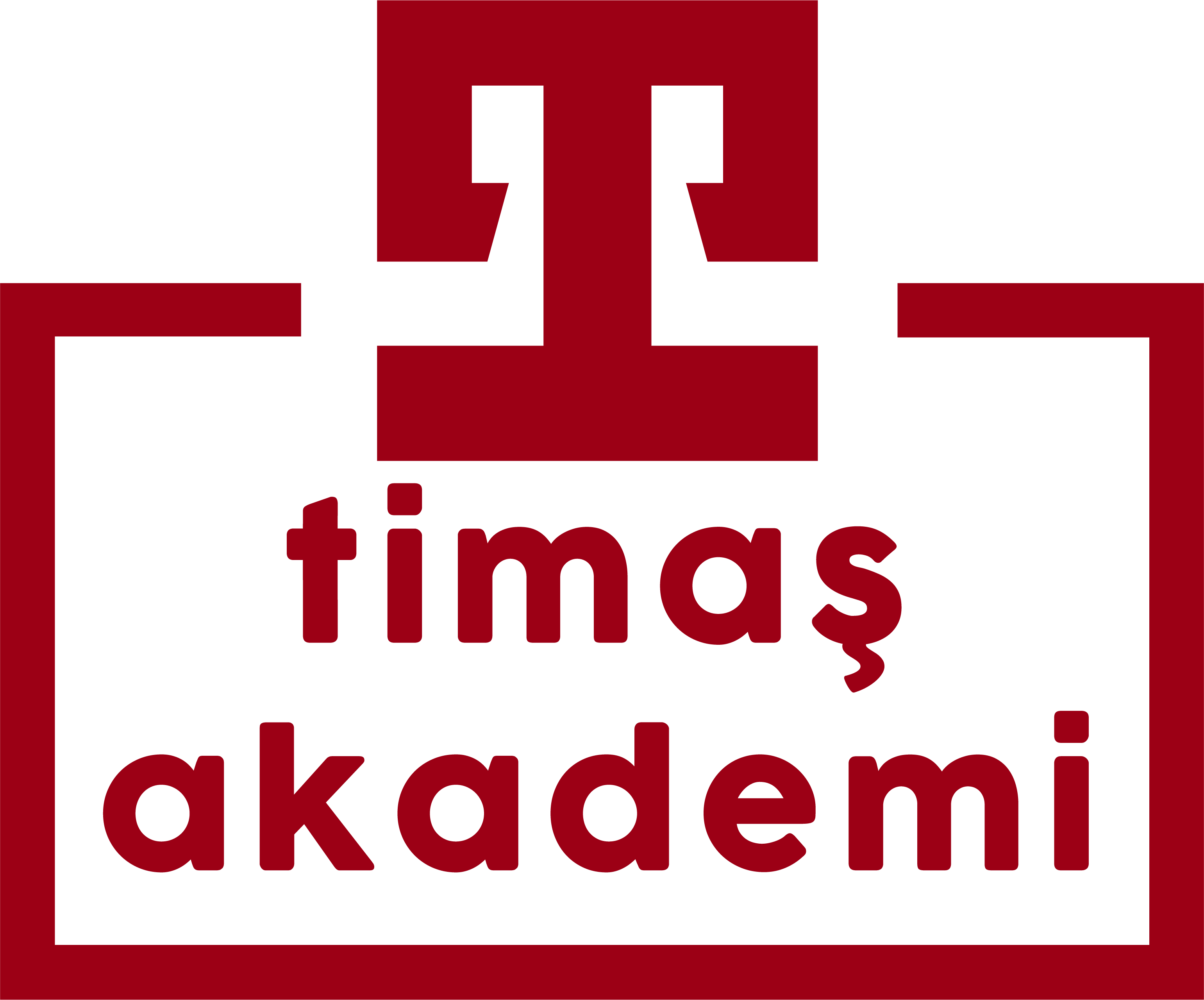 Timaş Akademi