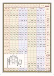 Arapça Emsile Şeması (Poster Tablo) - Kitap Kalbi Yayıncılık