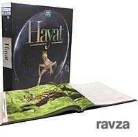 BBC Hayat - Boyut Yayın Grubu