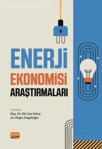 Enerji Ekonomisi Araştırmaları NE6510